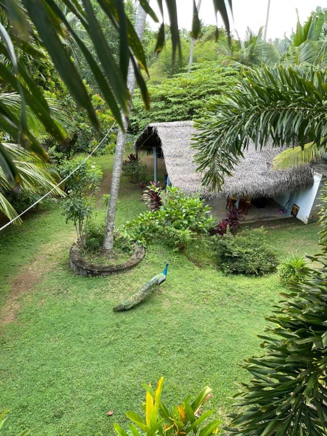 Hiru Villa タンガラ エクステリア 写真